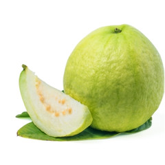 White Guava - MDA AGROCOT PRIVATE LIMITED